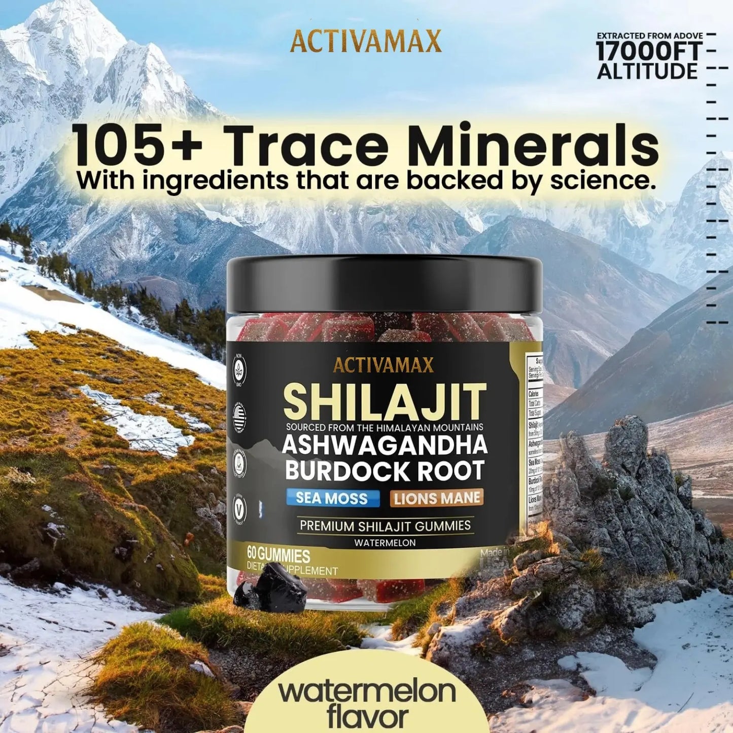 Pack 2+1 Gratis – Gomitas Shilajit ActivaMax